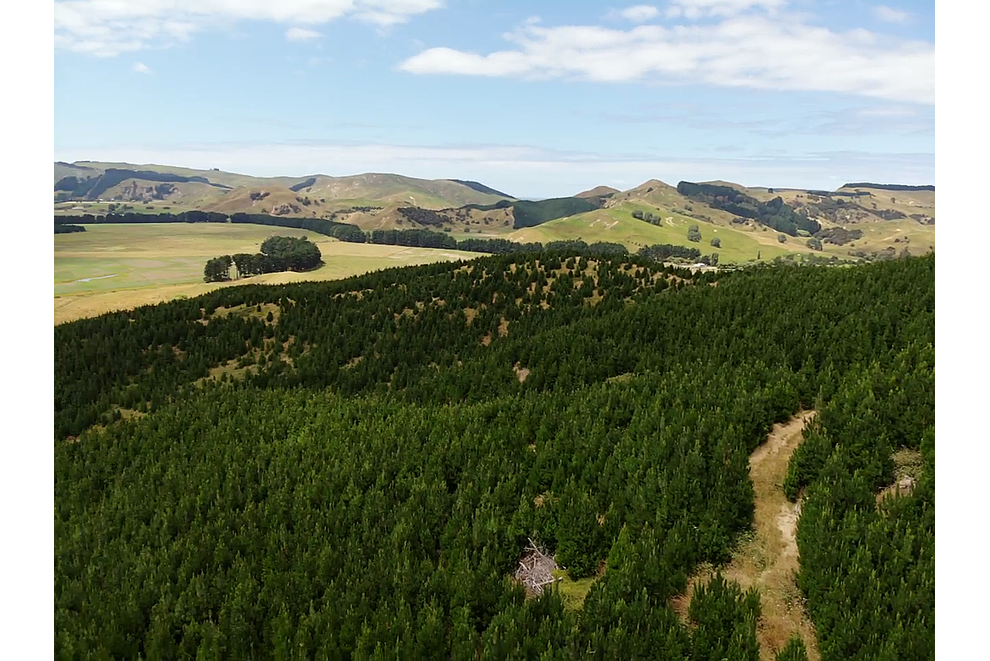 Lot1 Homewood Road, Riversdale Beach, Masterton For Sale realestate