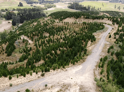 Lot1 Homewood Road, Riversdale Beach
