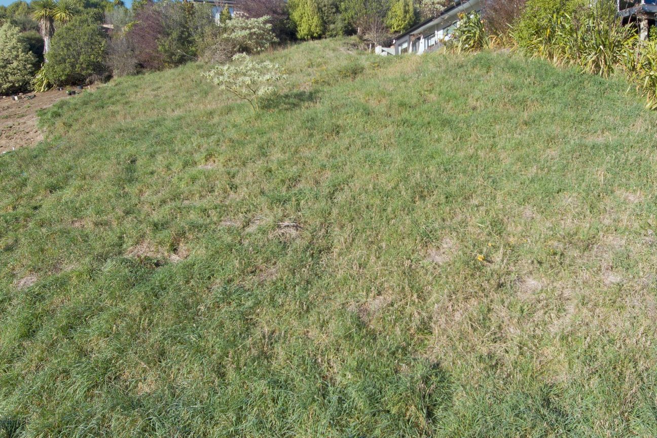 Views Glorious Views! - Aanzicht 6