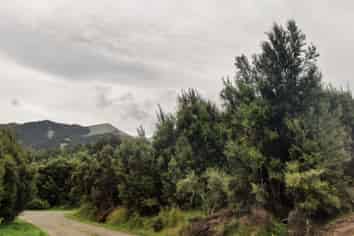 82 Mt Lyford Avenue, Lyford