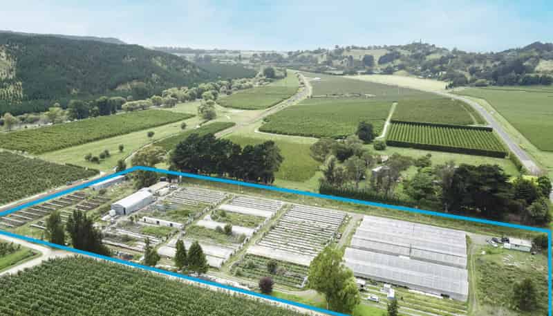 Property