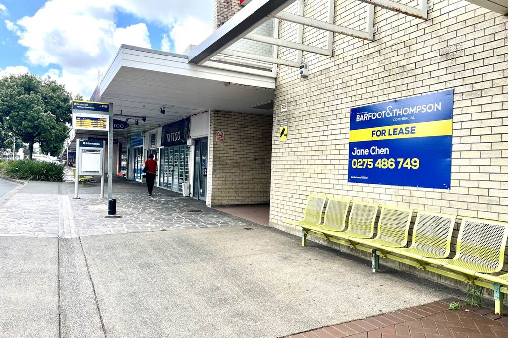 Property value 13 Queens Road, Panmure realestate.co.nz