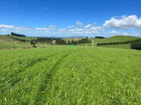 632 Ngamoko Road, Norsewood