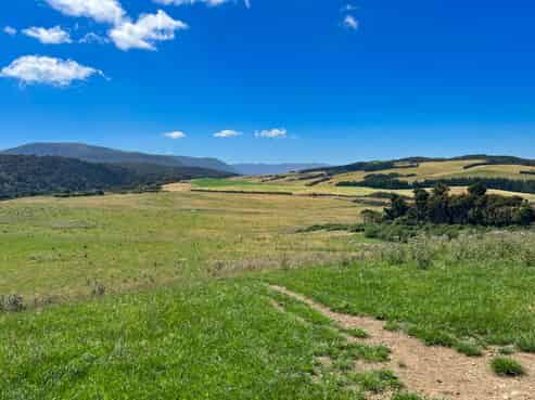 1180 Mokoreta Tahakopa Road, Catlins Surrounds