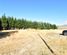 73 The Drive, Twizel, Mackenzie, Canterbury