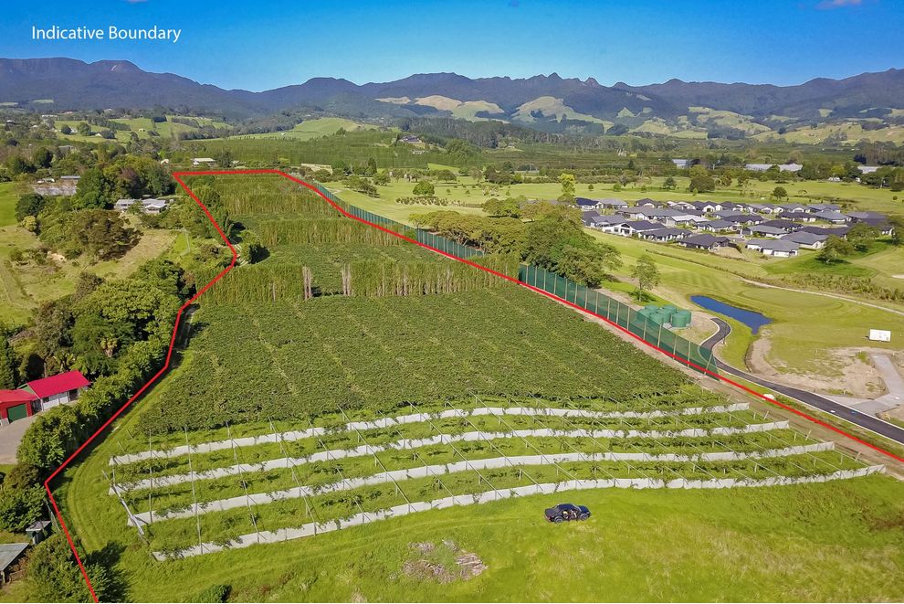 2670a State Highway 2, Katikati, Western Bay Of Plenty For Sale
