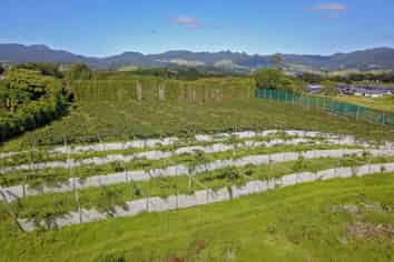 2670a State Highway 2, Katikati