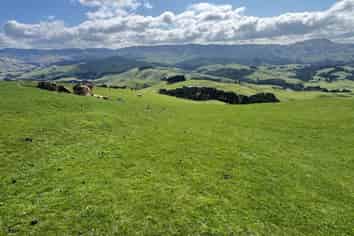 463 Waihi Valley Rd, Dannevirke