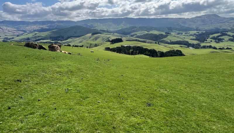 463 Waihi Valley Rd, Dannevirke