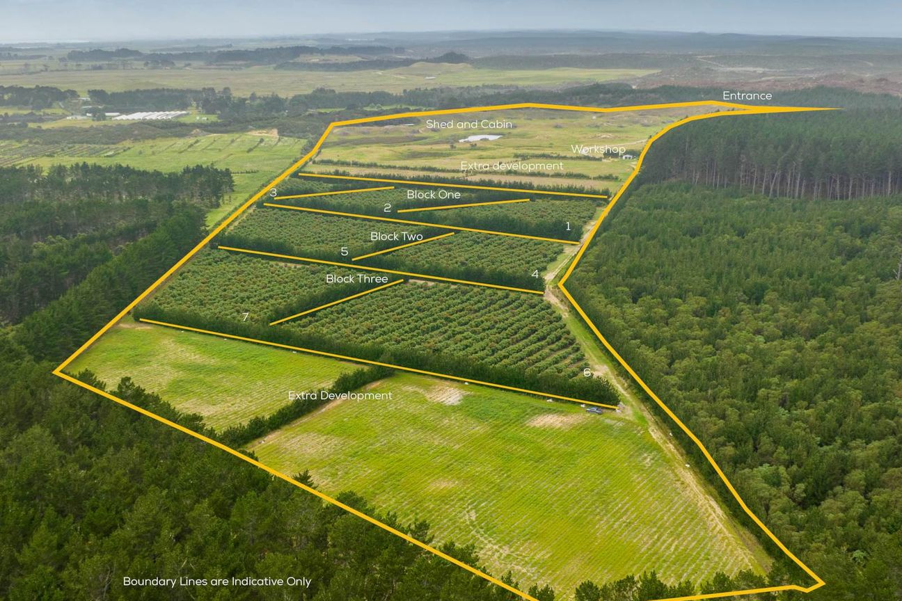 40.7ha Avocado & Potential Mixed Use Orchard - Ansicht 2