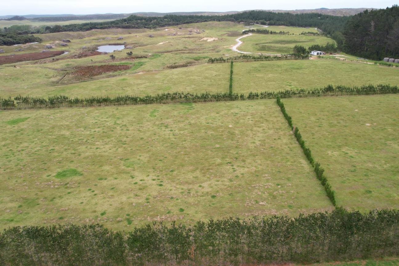 40.7ha Avocado & Potential Mixed Use Orchard - Ansicht 4