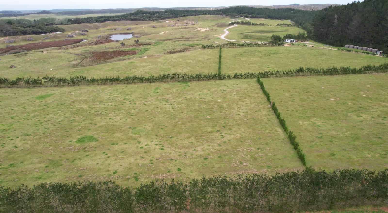 156 Mcmanus Road, Houhora, Far North For Sale realestate.co.nz