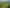 88 Rapson Road, Waitoki
