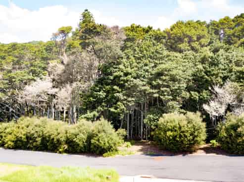 5 Galaxy Lane, Langs Beach