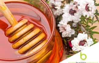 Manuka Honey Production Business - Assets Sale