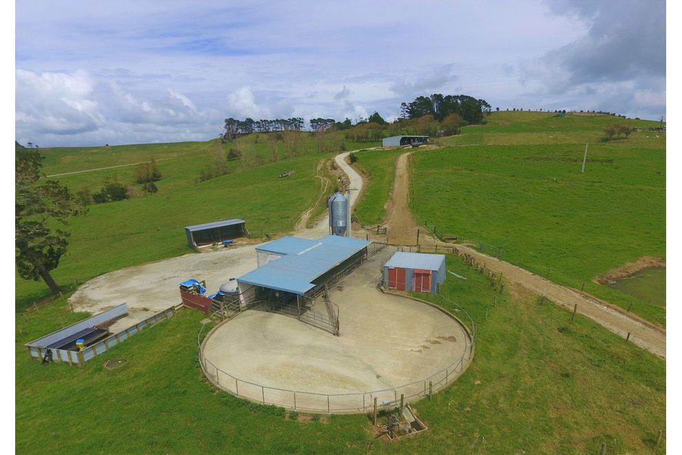 788 Burma Road, Tapora, Rodney For Sale realestate.co.nz