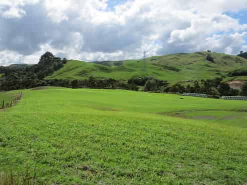 879 Mangawhio Road, Wharepapa South