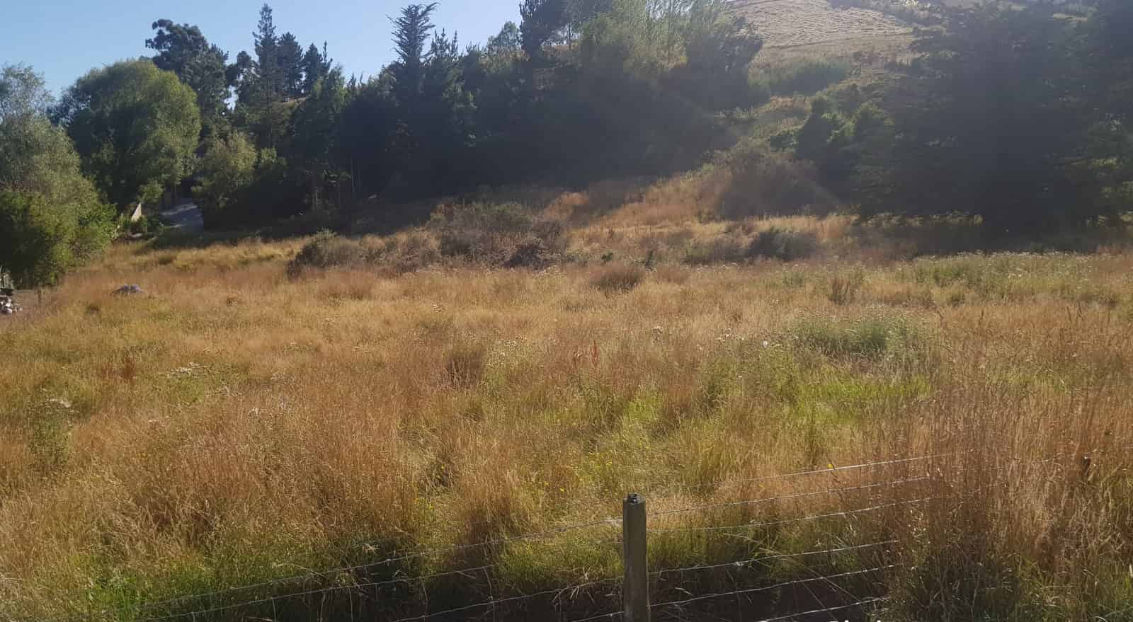 Ramsgate Street and Beacon Street, Waihola, Clutha For Sale