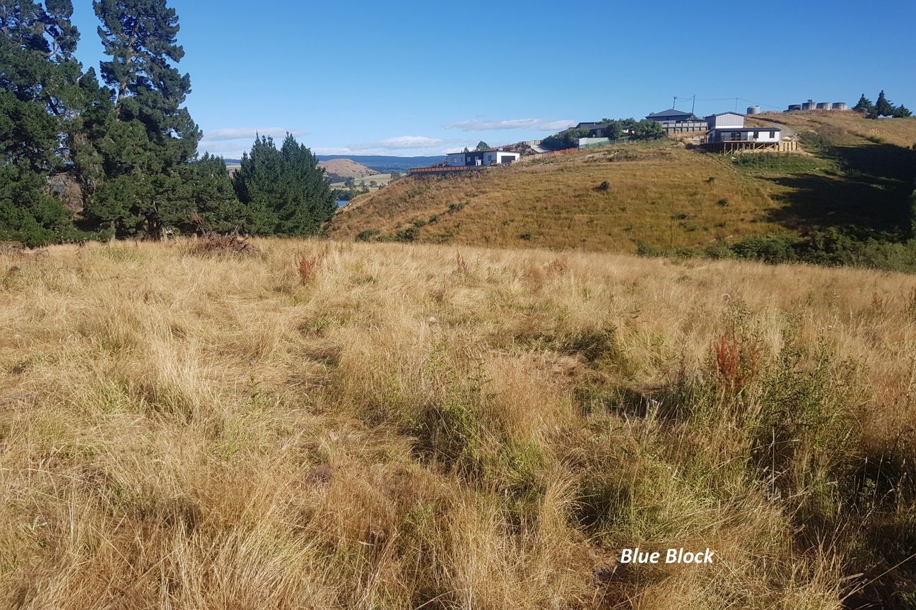 Waihola - Two Quality Bare Land Options - Görünüm 4