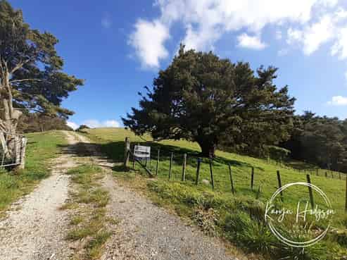 725 Golden Stairs Road, Mareretu