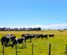 52 Ratana Road, Ratana, Rangitikei, Manawatu / Whanganui