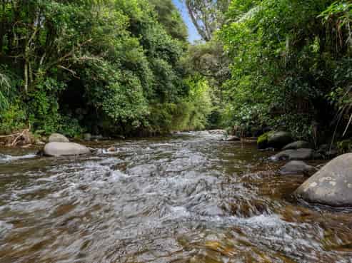 40A Killen Road, Katikati