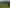 1771 Klondyke Road, Port Waikato