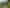 1771 Klondyke Road, Port Waikato