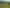 1771 Klondyke Road, Port Waikato