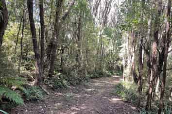 28 Patmos Avenue, Woodhaugh