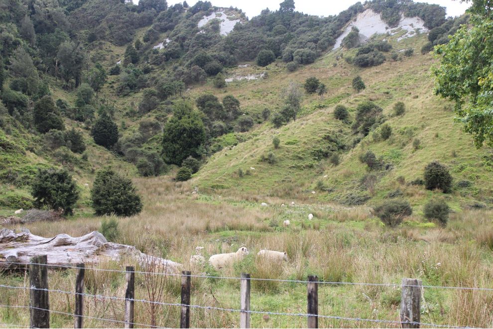 Okoki Road, Urenui, New Plymouth For Sale realestate.co.nz