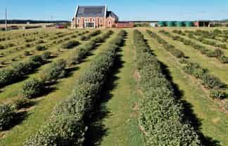 1686 Waimate Highway, Makikihi