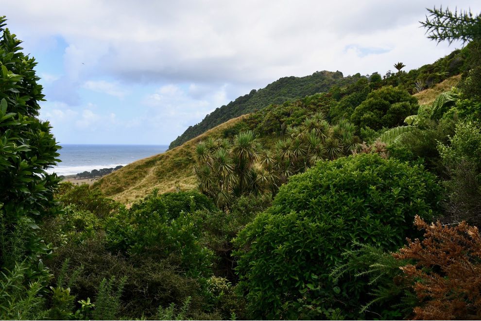 904 Karamea Kohaihai Road, Karamea, Buller For Sale realestate.co.nz