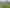 Lot 2, 617 Otakiri Road, Otakiri