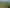 Lot 2, 617 Otakiri Road, Otakiri