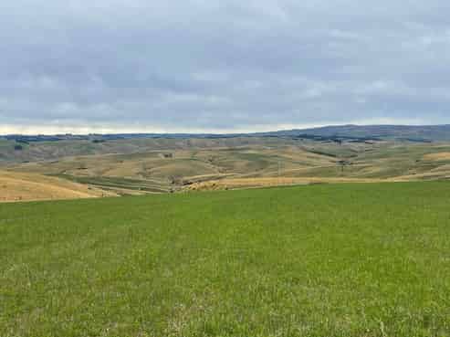 2797 Clarks Junction-lee Stream Road, East Otago