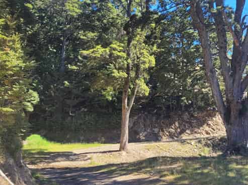 1989 Aitchison Runs Road, Pomahaka