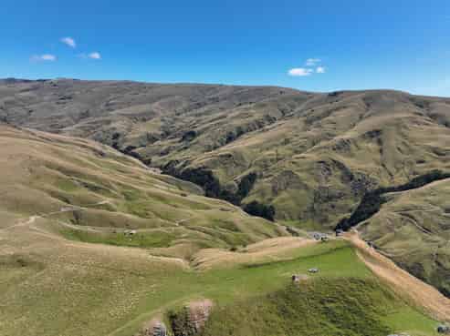 1989 Aitchison Runs Road, Pomahaka