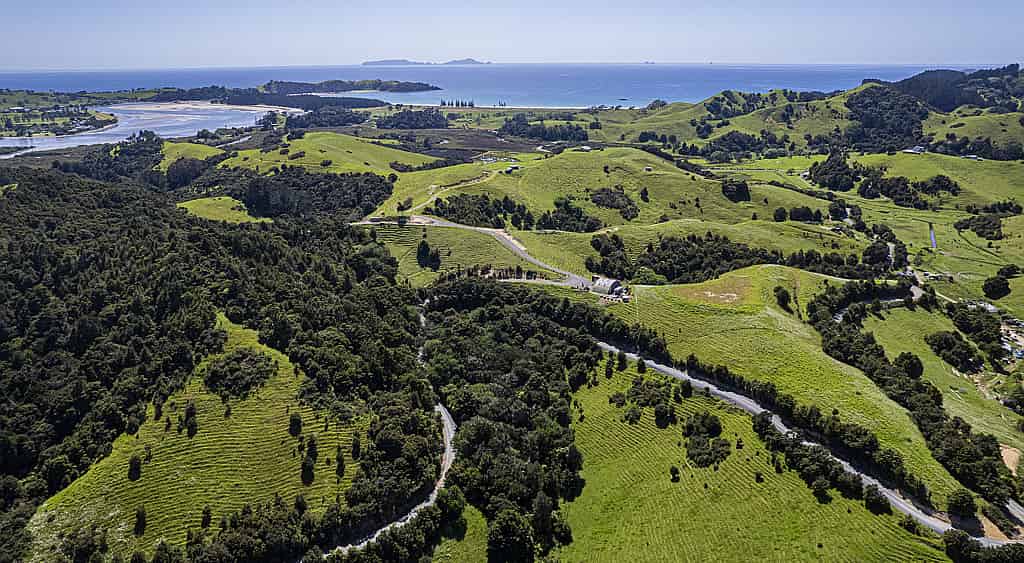Hailes Road, Whananaki, Whangarei For Sale realestate.co.nz