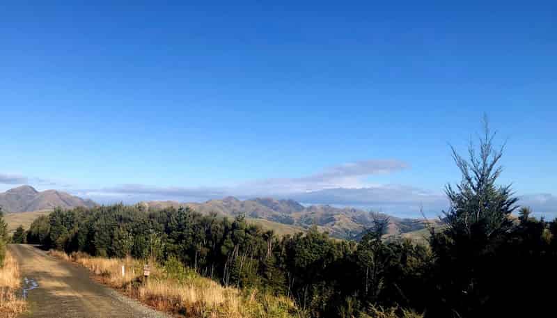 91 Tinline Terrace, Lyford