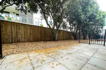 NEW WORKSHOP WITH EXTRAS
