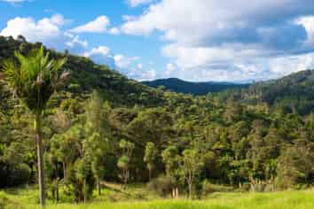 542 Duddy Road, Rawene