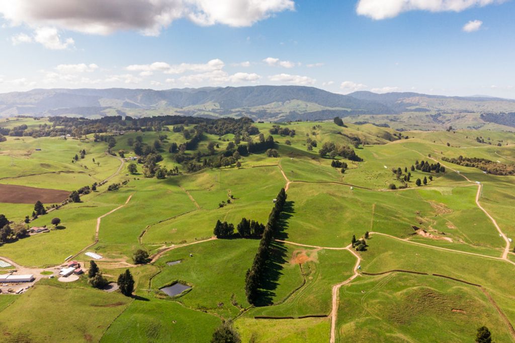 Property value 36 Pururu East Road, Te Kuiti realestate.co.nz