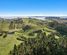 116 Turner Road, Whakamarama, Western Bay Of Plenty, Bay of Plenty