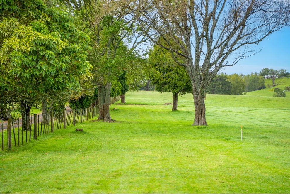 56 Main Road, Kauri, Whangarei For Sale realestate.co.nz