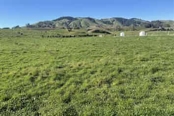 282 Lethbridge Road, Otorohanga