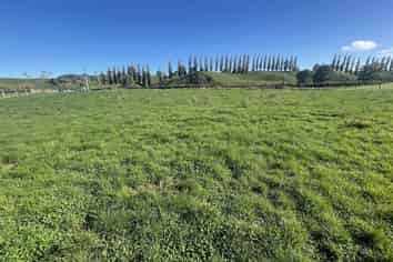 282 Lethbridge Road, Otorohanga