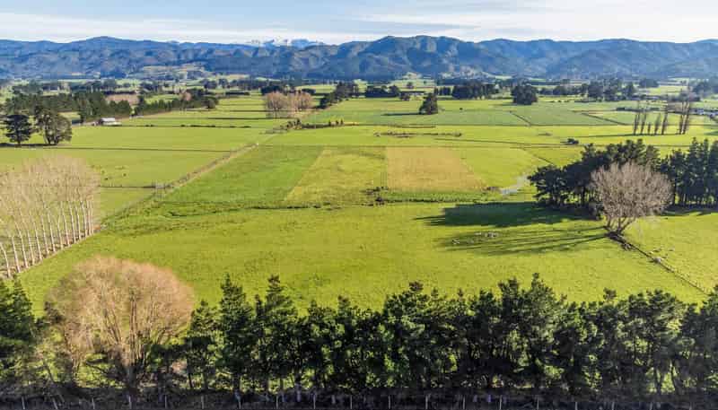 289 Dalefield Road, Carterton