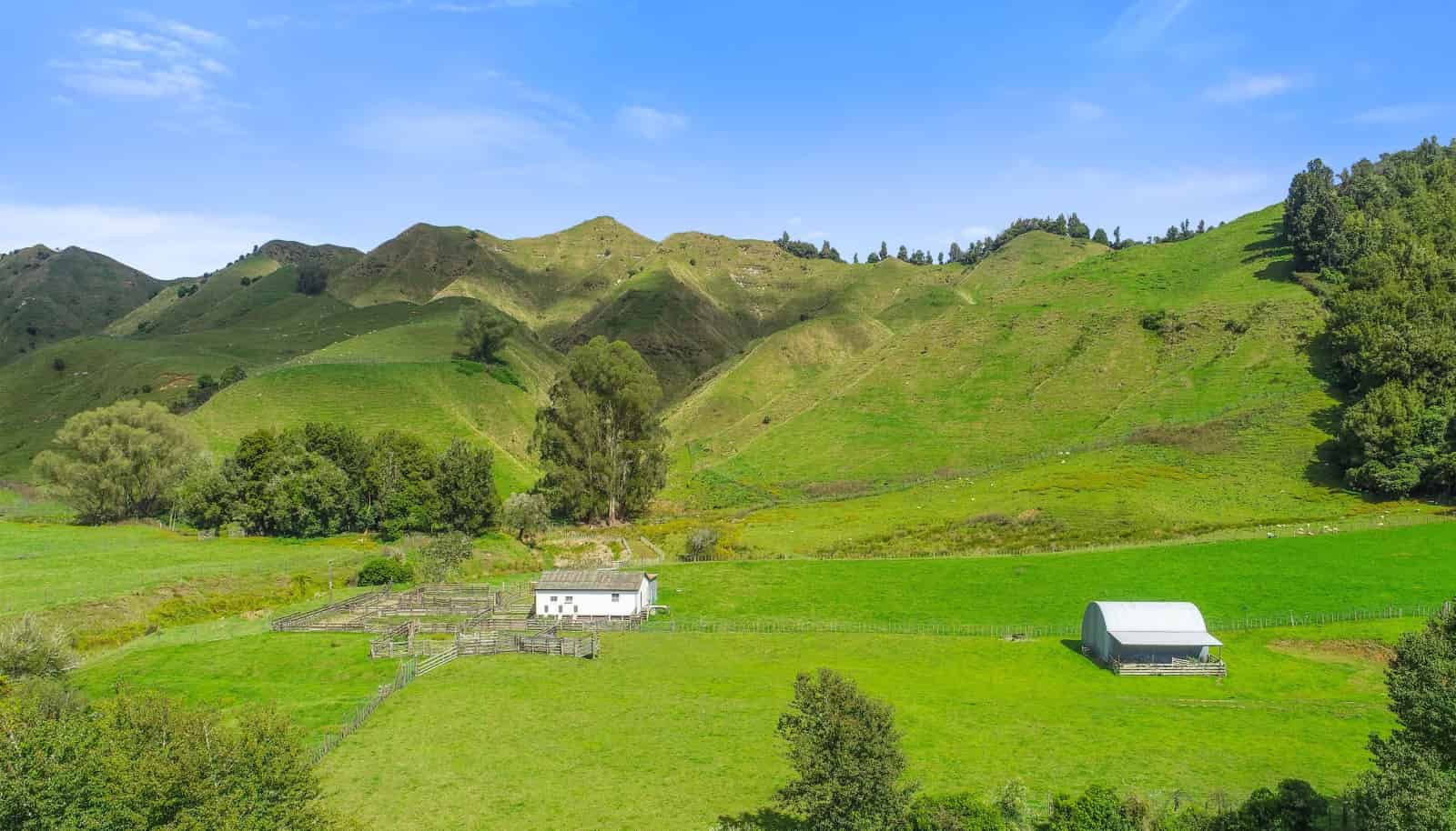 36 Kirikau Valley Road, Taumarunui, Ruapehu For Sale realestate.co.nz