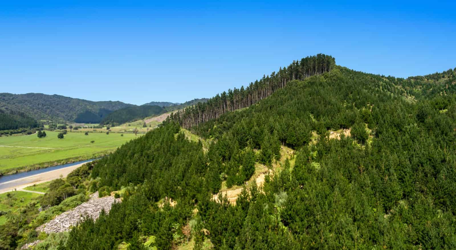 701 Otara Road, Opotiki, Opotiki For Sale realestate.co.nz